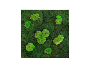 Green Mood Island Flat Ball Moss Frame 600 X 600Mm