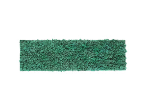 Green Mood Khloe Lichen Moss Frame 1150 X 350Mm