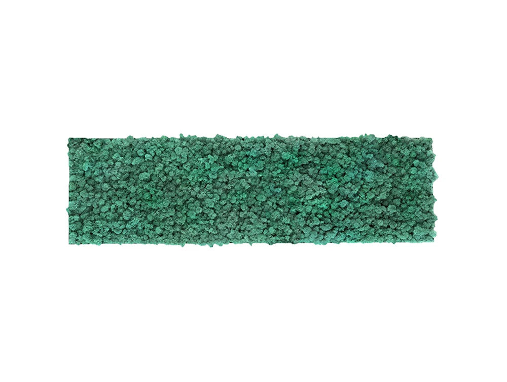 Green Mood Khloe Lichen Moss Frame 1150 X 350Mm