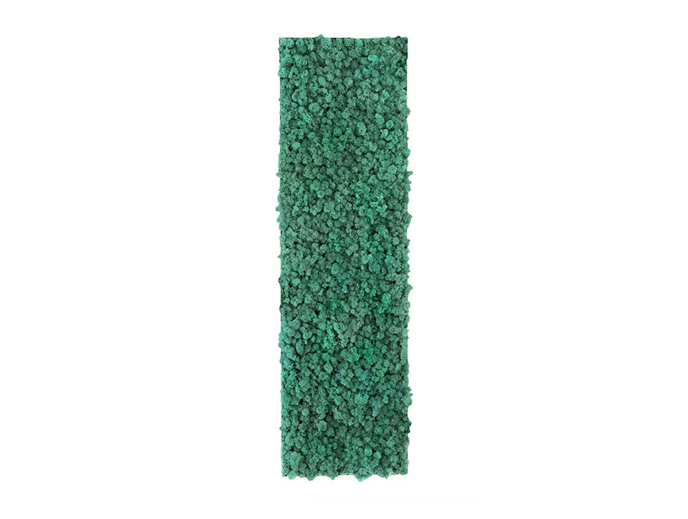 Green Mood Khloe Lichen Moss Frame 350 X 1150Mm2