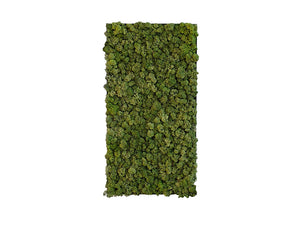 Green Mood Khloe Lichen Moss Frame 350 X 650Mm