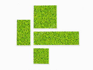 Green Mood Khloe Lichen Moss Frame Size Comparison