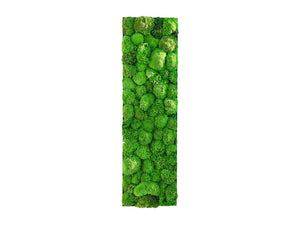 Green Mood Kokoon Ball Moss Frame 1150 X 350Mm2