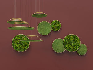Green Mood Moss Acoustic Circle Wall Hanging Panels With Maroon Background