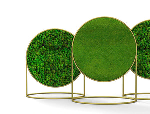 Green Mood Moss Acoustic Circular Free Standing Screen With Brass Frame And Lichen And Ball Moss Filling