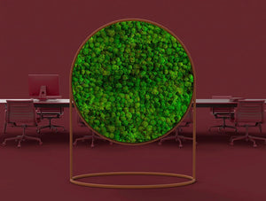 Green Mood Moss Acoustic Circular Free Standing Screen With Corten Frame And Ball Moss Filling With Maroon Background