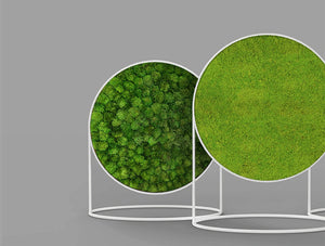Green Mood Moss Acoustic Circular Free Standing Screen With Matte White Frame And Lichen And Ball Moss Filling With Grey Background