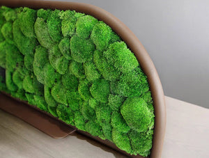 Green Mood Moss Acoustic Desk Screens With Corten Structure Close Up