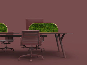 Green Mood Moss Acoustic Desk Screens With Gold Structure In Maroon Office Setting Close View