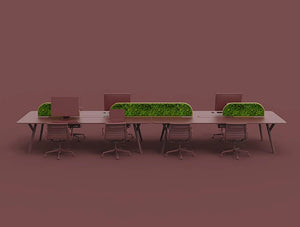 Green Mood Moss Acoustic Desk Screens With Gold Structure In Maroon Office Setting Far View
