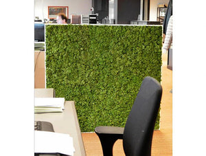 Green Mood Moss Acoustic Rectangular Free Standing Screen With Green Lichen Moss Filling