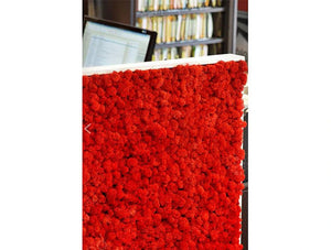 Green Mood Moss Acoustic Rectangular Free Standing Screen With Red Lichen Moss Filling Close View
