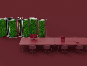 Green Mood Moss Acoustic Room Dividers With Matte White Structure And Ball Moss Filling In Maroon Background