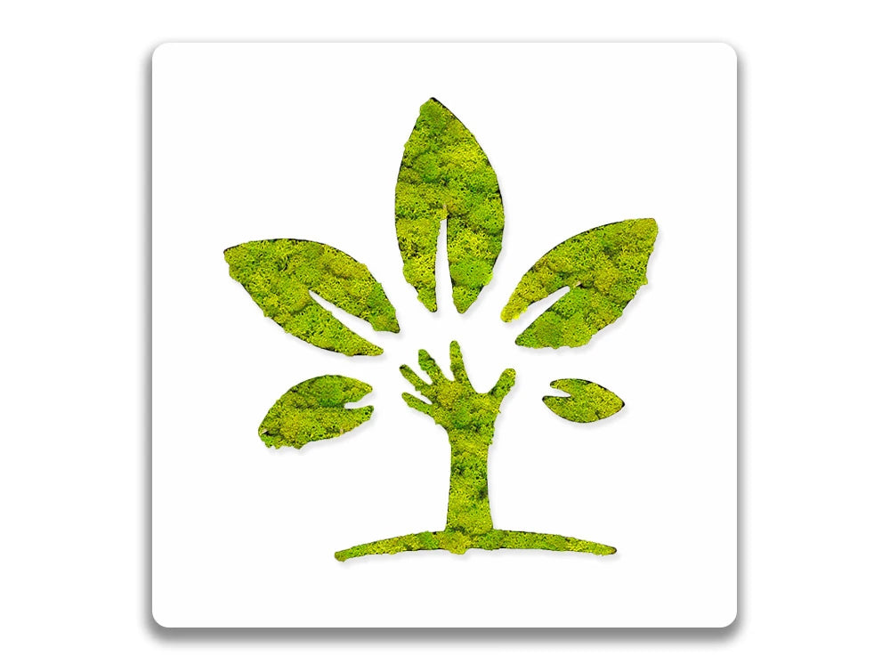 Green Mood Pictogram Eco With Border