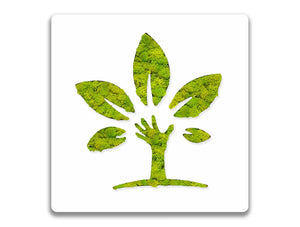 Green Mood Pictogram Eco With Border