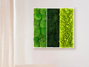 Green Mood Triple Unique Moss Frame In Living Room
