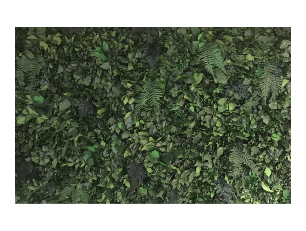 Java Acoustic Vertical Garden