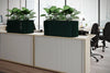 Koala Acoustic Counter Planter in Dark Green Finish Above Tambour Cupboard with Black Office Chair in Modern Office Setting