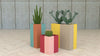 Koala Square Acoustic Planter in Different Finishes and in Different Sizes with Plants