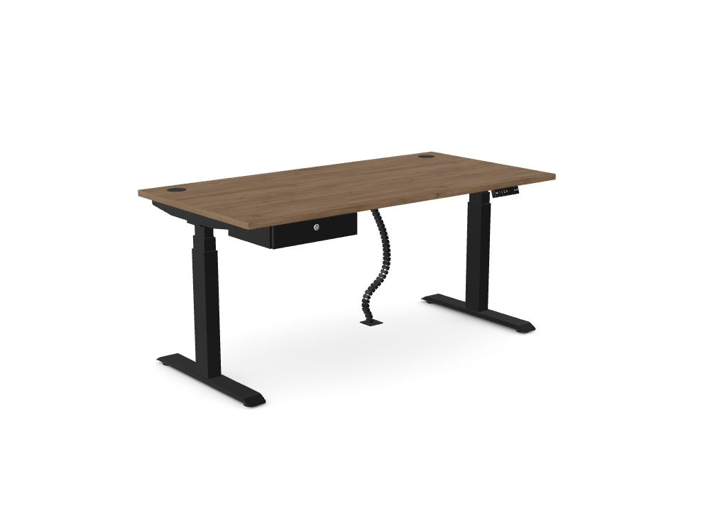 Custom Levo Sit-Stand Desk - Ref: GPQJMOO
