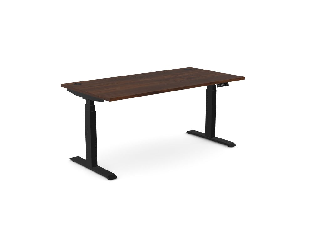 Custom Levo Sit-Stand Desk - Ref: PPSWLPI