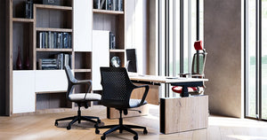 Levo Plus Executive Sit Stand Desk