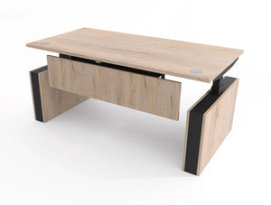 Levo Plus Sit Stand Desk 2