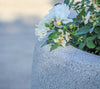 Lisa Medium Outdoor Planter Material Detail