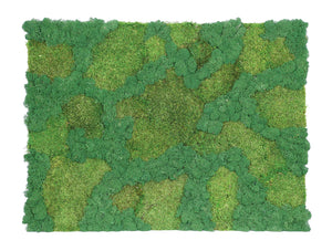 Lombock Acoustic Moss and Nordic Lichen Frame