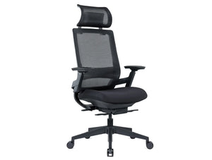 Maglia Office Mesh Task Chair with Headrest and Lumbar Support