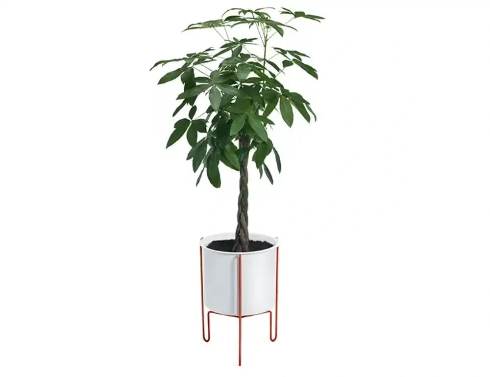 Meridius Plant Pot Holder 3
