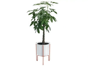 Meridius Plant Pot Holder 3