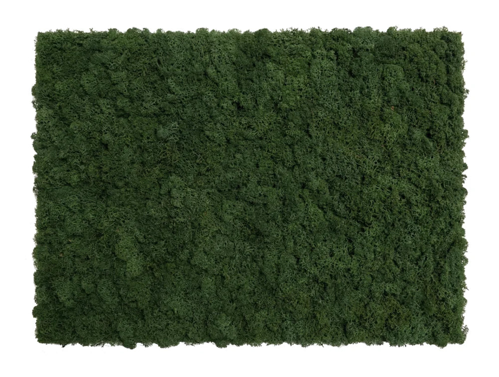 Moss Acoustic Wall Panel