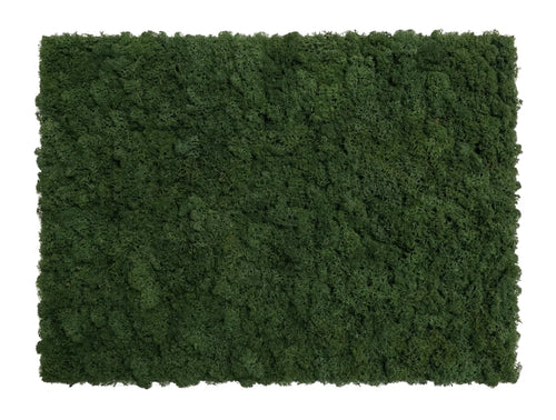 Moss Acoustic Wall Panel