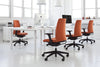 Motto Swivel Armchair   Model 10 3