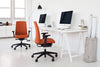 Motto Swivel Armchair   Model 10 5