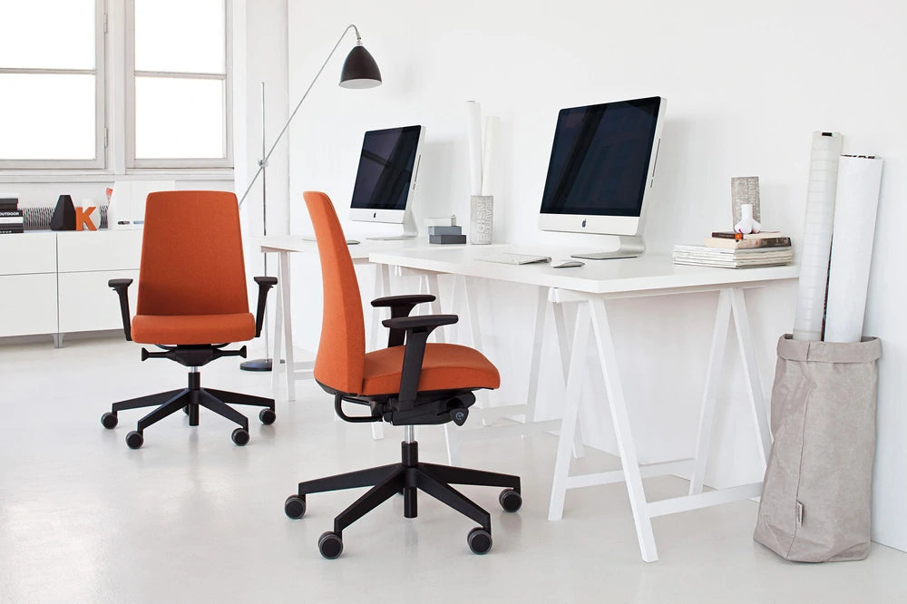 Motto Swivel Armchair   Model 10 5