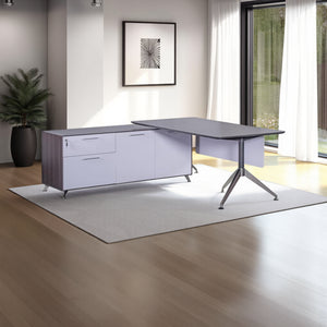 Nero Executive Desk with Credenza Unit and Indoor Plant in Modern Office Setting