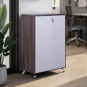 Nero Wooden Cupboard in Two Tone Finish with Indoor Plant and Task Chair in Modern Office Setting