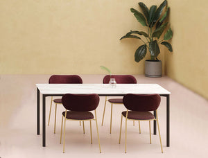 Pareo Marble Rectangular Table With Chair And Indoor Plant In Studio Setting