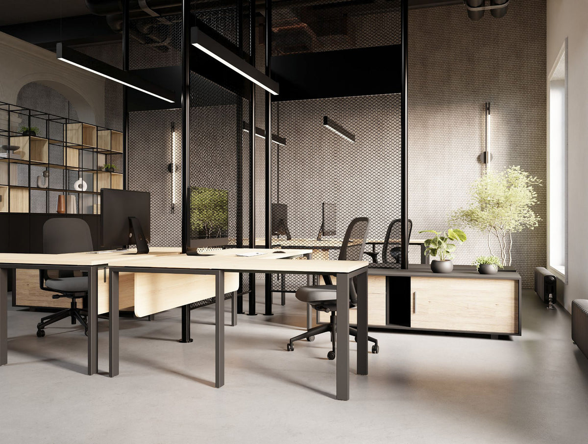 Profil Executive Desk with Credenza Unit and Contour Ergonomic Chair and Decora Modular Zoning System and Ionic Storage in Modern Office Setting