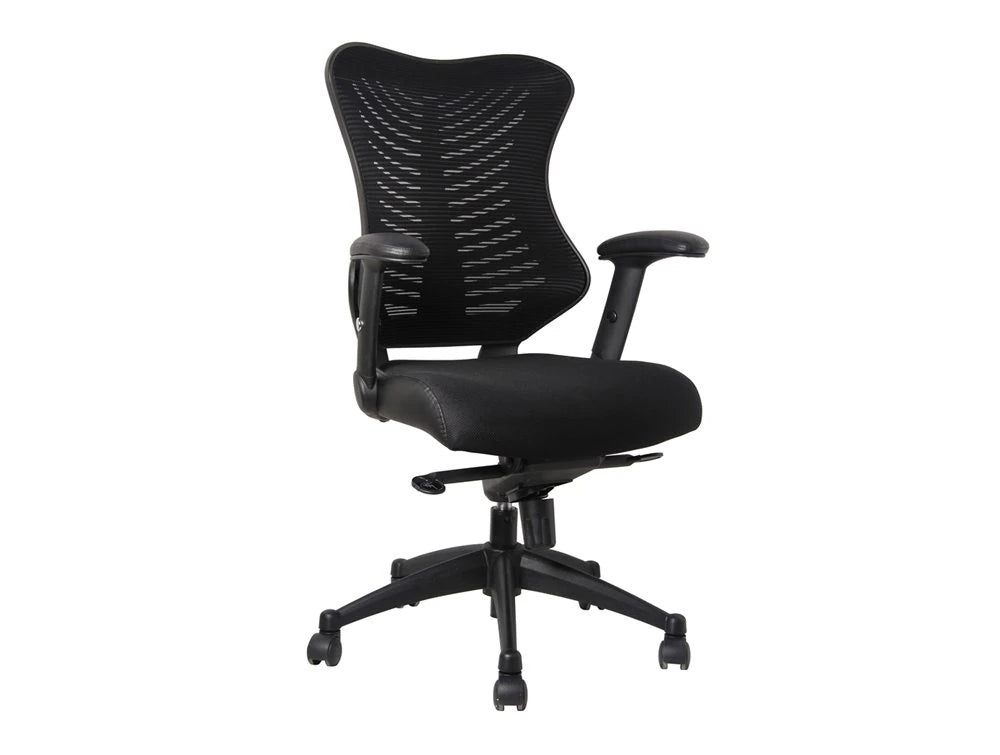 Spine Delux Spine Task Chair In Black 