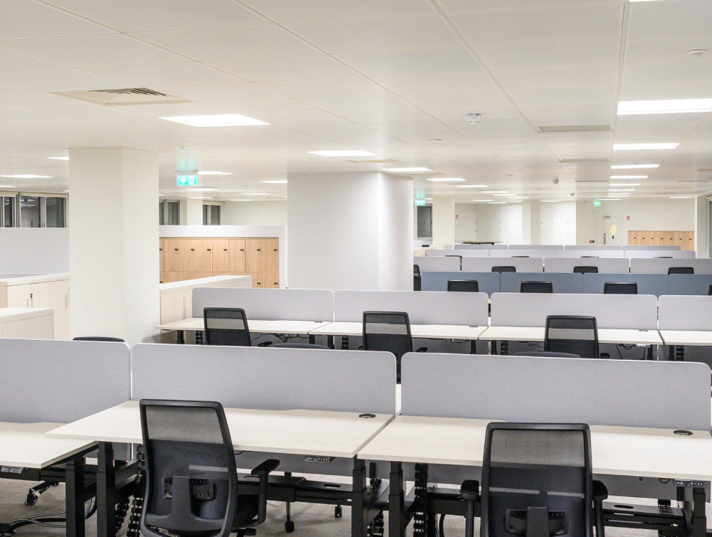 Sit Stand Desk With Black Task Chair And Desk Screen In Modern Office Setting