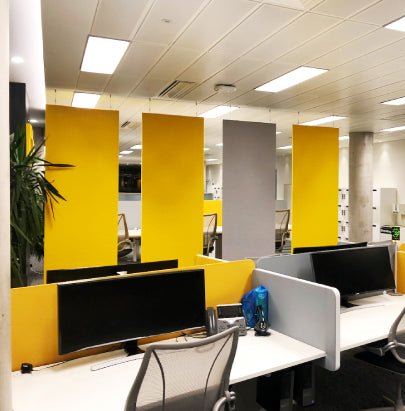 Acoustic Celing Lighting in Meeting Room