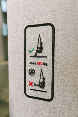 Social Acoustic Single Swing with Modular Sofa and Indoor Plant in Breakout Setting 2