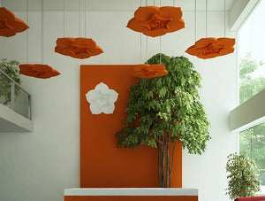 Soundtect Acoustic Panel Celeste With Ceiling Fixing System In Orange Finish