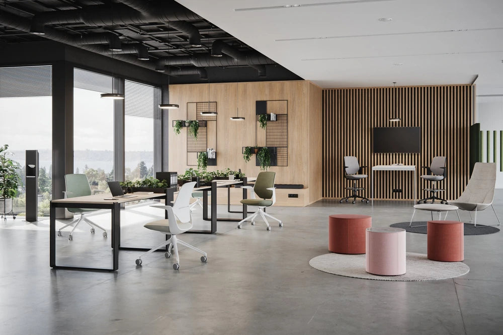 Trillo Pro 30Hst 31Hst 4