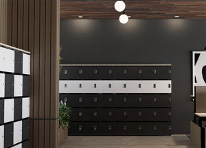 Uno Locker in Two Toned Door Finish with Wooden Sit Stand Desk and Acoustic Ceiling Light in Office Setting