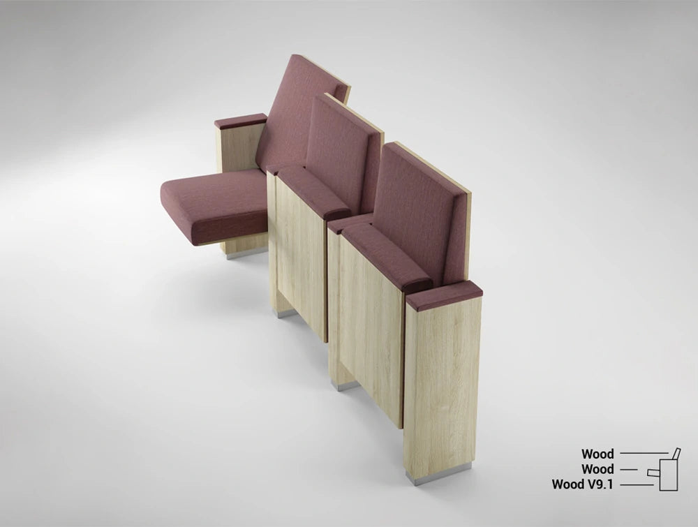 V9 Family Auditorium Seating 9