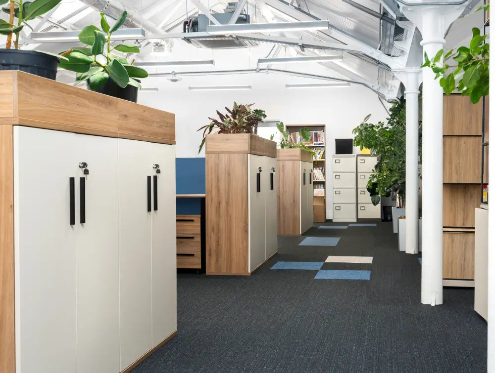 Wooden Cupboard with Indoor Plant in Office Setting